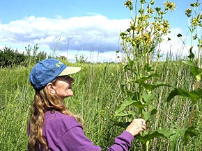 Danielle Wirth in prairie