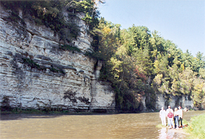 Bluffton Bluffs