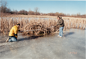 Environmental conservation lab