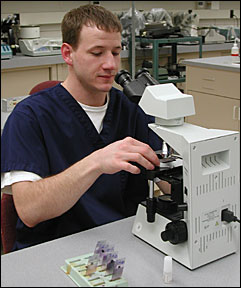 Student using microscope