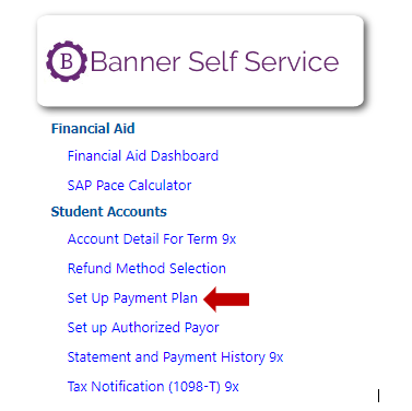 Banner Self Service Button with red arrow pointing to Set Up Payment Plan