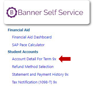 Select the Account Detail for Term 9x link